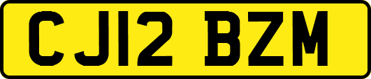CJ12BZM