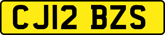 CJ12BZS