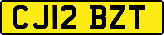 CJ12BZT