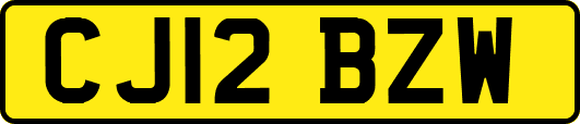 CJ12BZW