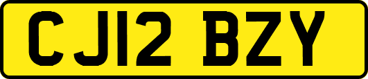 CJ12BZY