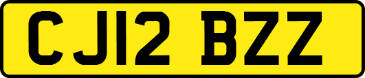 CJ12BZZ