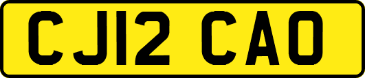 CJ12CAO