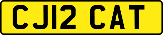 CJ12CAT