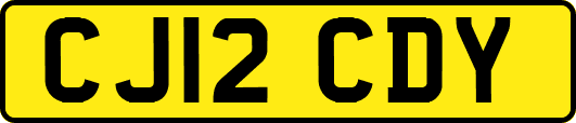 CJ12CDY