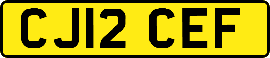 CJ12CEF