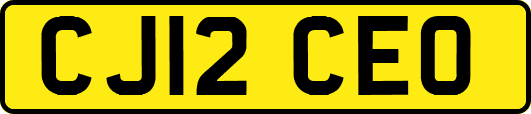 CJ12CEO