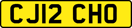 CJ12CHO