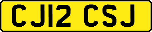 CJ12CSJ