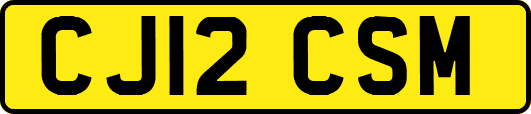 CJ12CSM