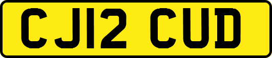 CJ12CUD