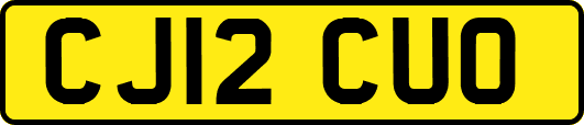 CJ12CUO
