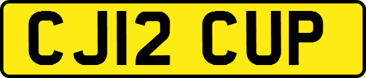 CJ12CUP