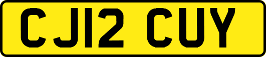 CJ12CUY