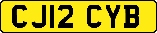CJ12CYB