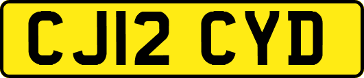 CJ12CYD