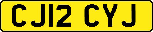 CJ12CYJ