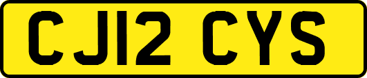 CJ12CYS