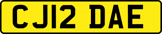 CJ12DAE