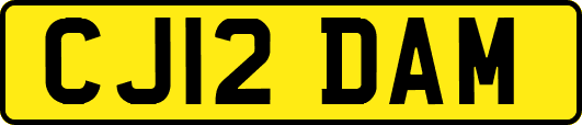 CJ12DAM