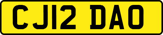 CJ12DAO
