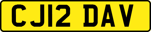 CJ12DAV