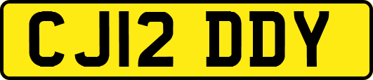 CJ12DDY