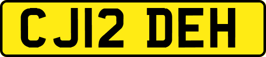 CJ12DEH