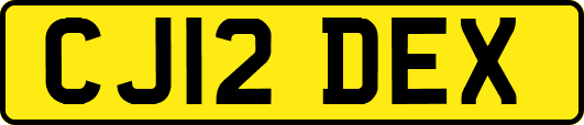 CJ12DEX
