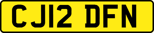 CJ12DFN