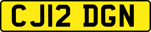 CJ12DGN