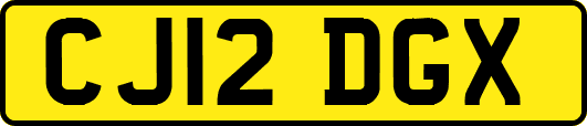 CJ12DGX
