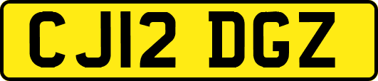 CJ12DGZ