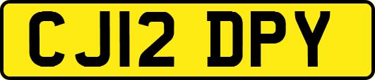 CJ12DPY