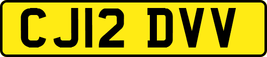 CJ12DVV