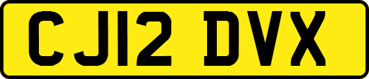 CJ12DVX