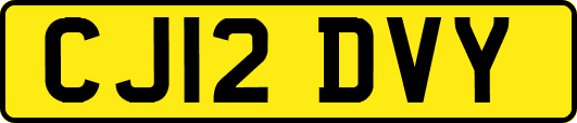 CJ12DVY
