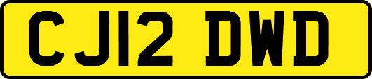 CJ12DWD