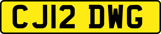 CJ12DWG