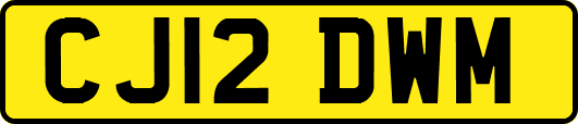 CJ12DWM