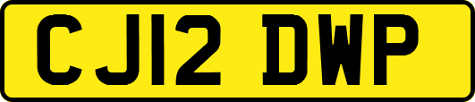 CJ12DWP