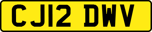 CJ12DWV
