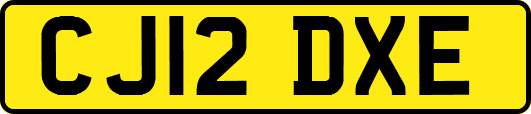 CJ12DXE