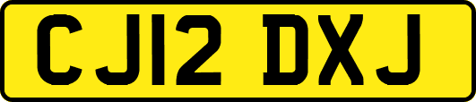 CJ12DXJ