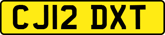 CJ12DXT