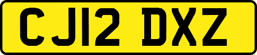 CJ12DXZ
