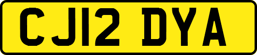 CJ12DYA