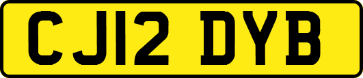 CJ12DYB