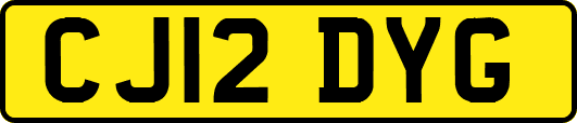 CJ12DYG
