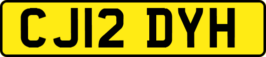 CJ12DYH